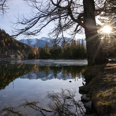 Arolla R01 By Interhome Lägenhet Champex-Lac